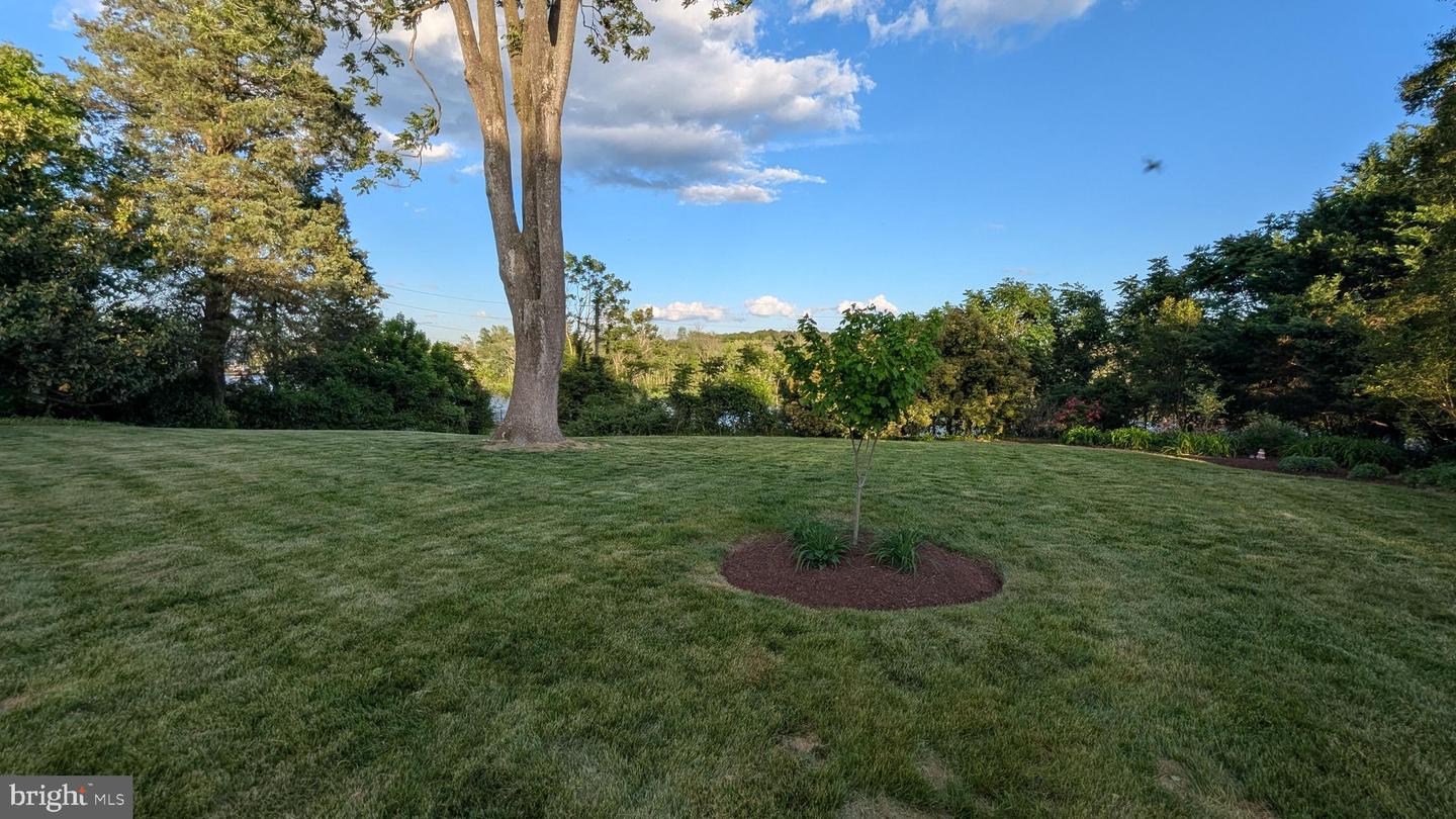DESU2083448-803850130674-2025-07-01-16-58-46 121 S Conwell St | Seaford, DE Real Estate For Sale | MLS# Desu2083448  - Jack Lingo REALTOR