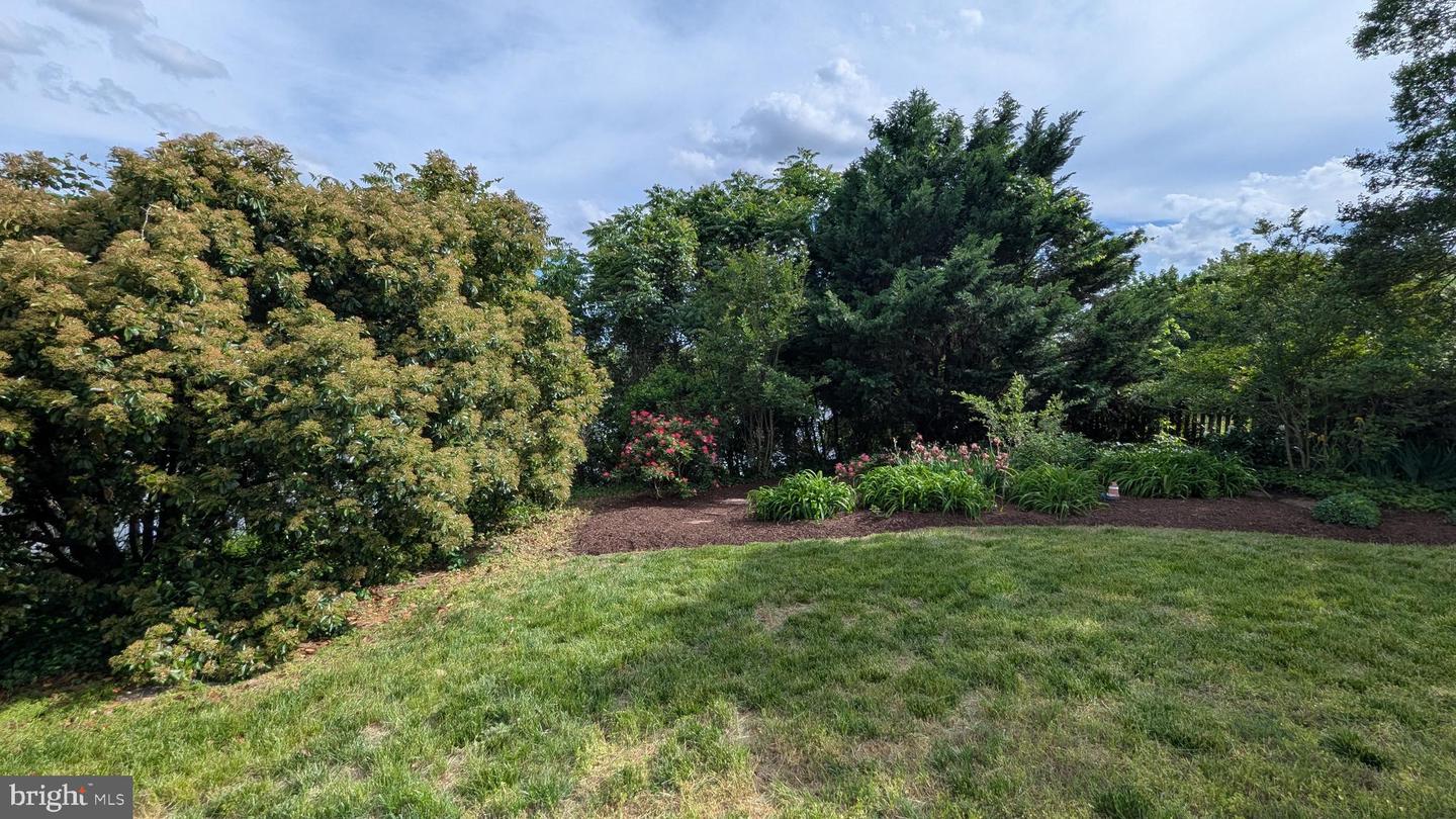DESU2083448-803850136034-2025-07-01-16-58-46 121 S Conwell St | Seaford, DE Real Estate For Sale | MLS# Desu2083448  - Jack Lingo REALTOR