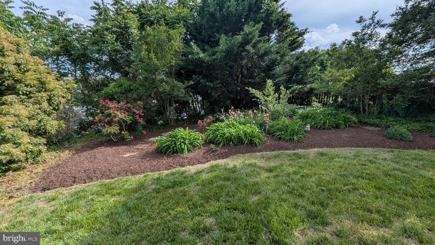 DESU2083448-803850136472-2025-07-01-16-58-44 121 S Conwell St | Seaford, DE Real Estate For Sale | MLS# Desu2083448  - Jack Lingo REALTOR