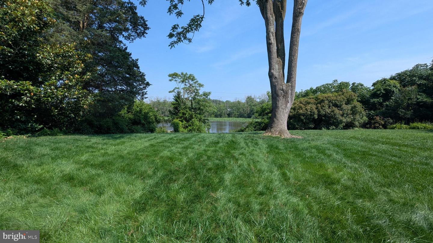 DESU2083448-803934585418-2025-07-01-16-58-48 121 S Conwell St | Seaford, DE Real Estate For Sale | MLS# Desu2083448  - Jack Lingo REALTOR