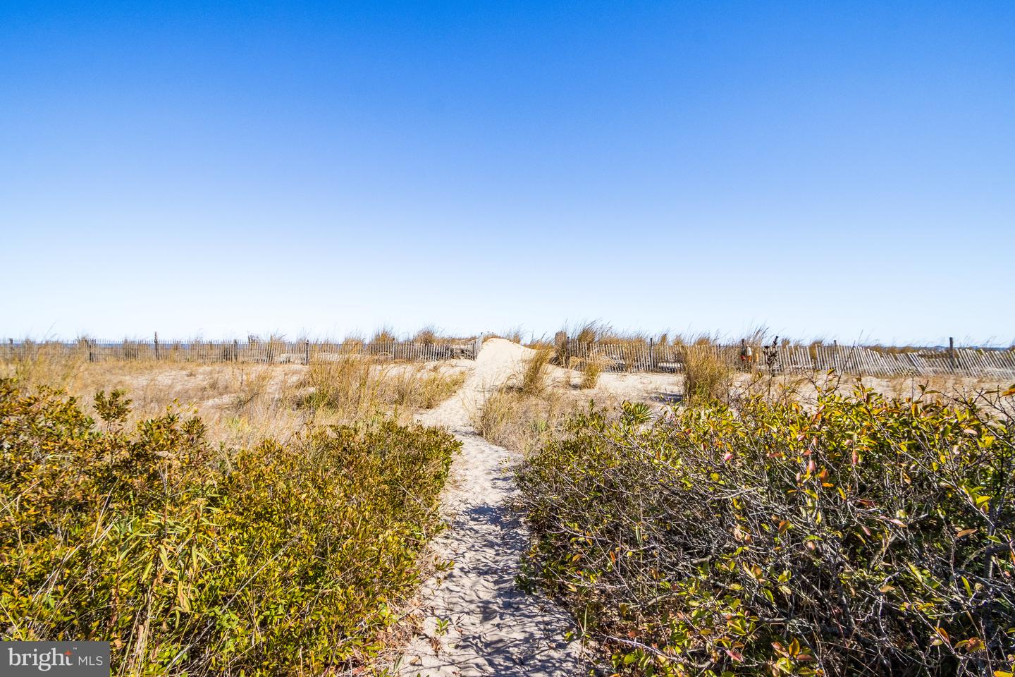 DESU2083466-803757845530-2025-06-30-10-12-50 2501 S Bay Shore Dr | Milton, DE Real Estate For Sale | MLS# Desu2083466  - Jack Lingo REALTOR
