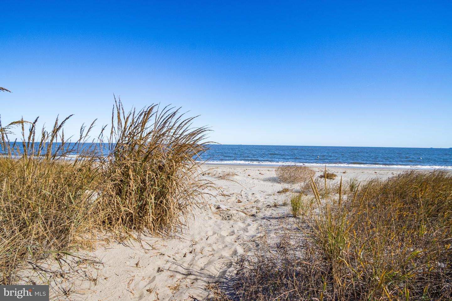 DESU2083466-803757845544-2025-04-10-12-22-12 2501 S Bay Shore Dr | Milton, DE Real Estate For Sale | MLS# Desu2083466  - Jack Lingo REALTOR