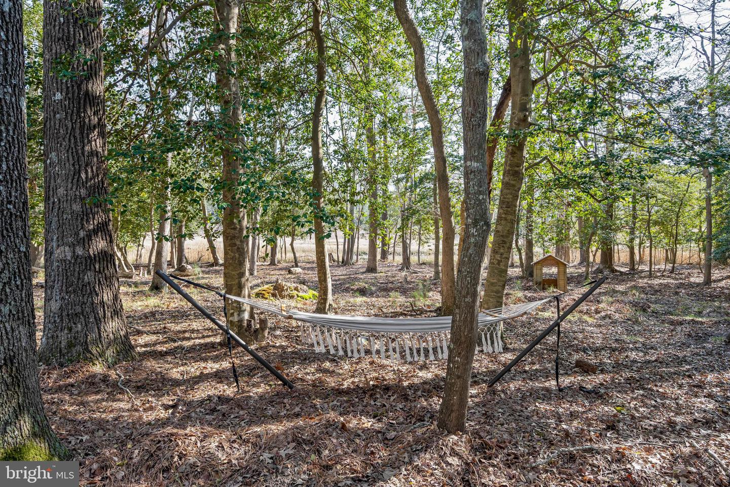 DESU2083636-803763488922-2025-04-17-11-52-32 16876 Black Marlin Cir | Lewes, DE Real Estate For Sale | MLS# Desu2083636  - Jack Lingo REALTOR