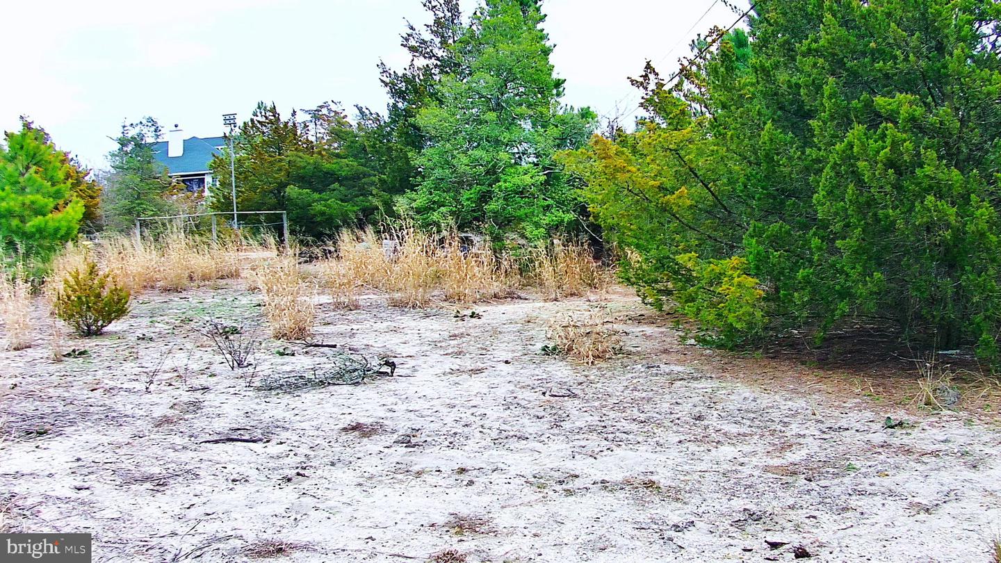 DESU2083792-803767800998-2025-08-29-20-47-49 1612 N Bay Shore Dr | Milton, DE Real Estate For Sale | MLS# Desu2083792 - Jack Lingo REALTOR DESU2083792-803767800998-2025-08-29-20-47-49 1612 N Bay Shore Dr | Milton, DE Real Estate For Sale | MLS# Desu2083792 - Jack Lingo REALTOR