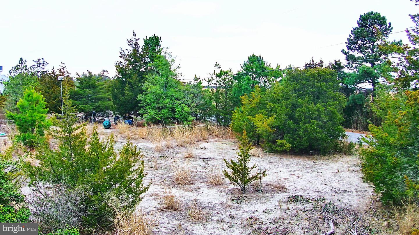 DESU2083792-803767801008-2025-08-29-20-47-48 1612 N Bay Shore Dr | Milton, DE Real Estate For Sale | MLS# Desu2083792 - Jack Lingo REALTOR DESU2083792-803767801008-2025-08-29-20-47-48 1612 N Bay Shore Dr | Milton, DE Real Estate For Sale | MLS# Desu2083792 - Jack Lingo REALTOR