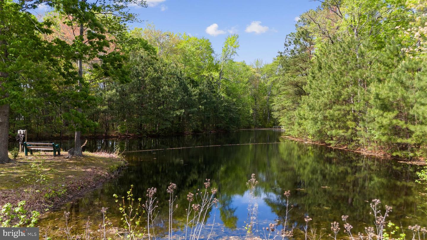 DESU2083804-803813359080-2025-06-16-16-52-45 111 S Newport Way | Dagsboro, DE Real Estate For Sale | MLS# Desu2083804  - Jack Lingo REALTOR