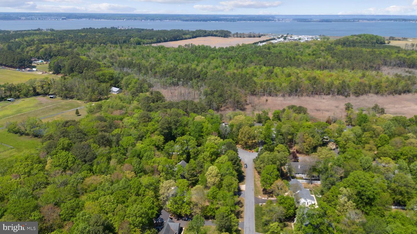 DESU2083804-803813359488-2025-06-16-16-52-44 111 S Newport Way | Dagsboro, DE Real Estate For Sale | MLS# Desu2083804  - Jack Lingo REALTOR