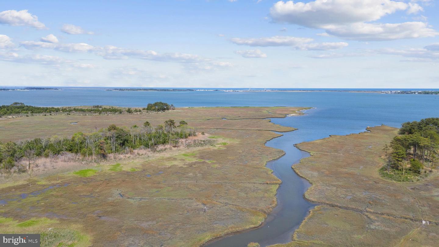 DESU2083804-803813359784-2025-06-16-16-52-43 111 S Newport Way | Dagsboro, DE Real Estate For Sale | MLS# Desu2083804  - Jack Lingo REALTOR