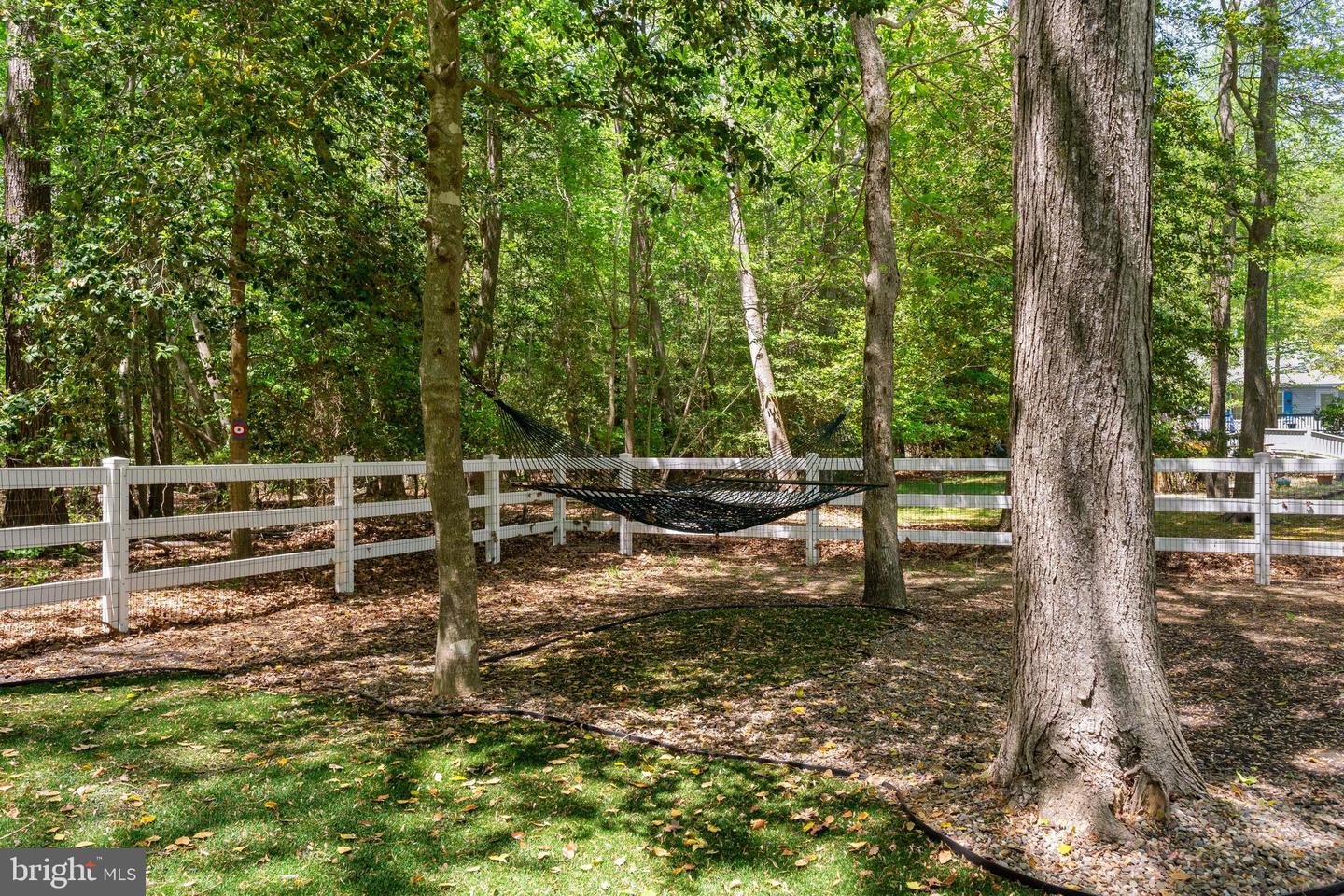 DESU2083804-803813361750-2025-06-16-16-52-47 111 S Newport Way | Dagsboro, DE Real Estate For Sale | MLS# Desu2083804  - Jack Lingo REALTOR