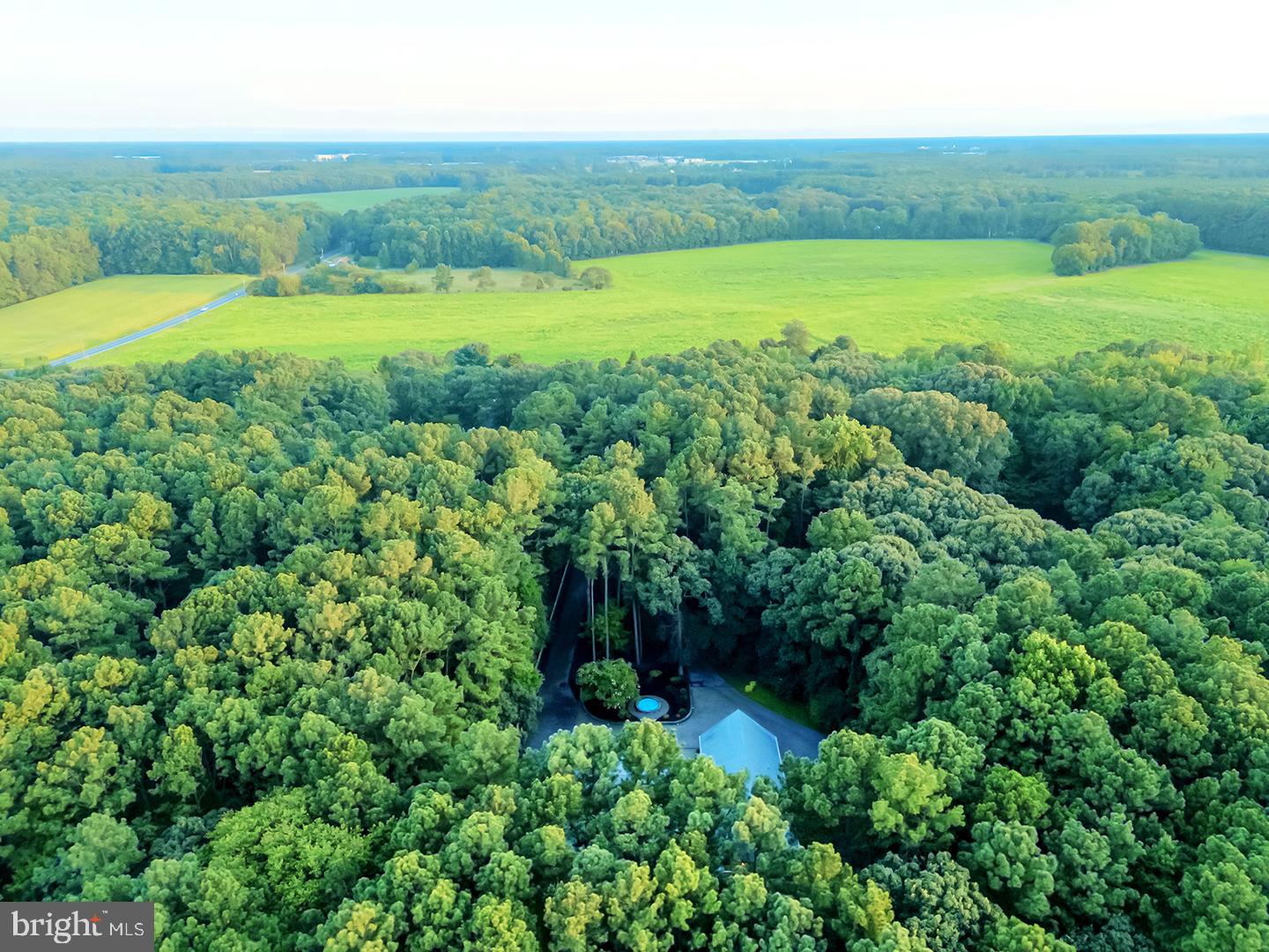 DESU2083910-804086937034-2025-08-22-08-58-31 22095 Wilson Rd | Georgetown, DE Real Estate For Sale | MLS# Desu2083910  - Jack Lingo REALTOR