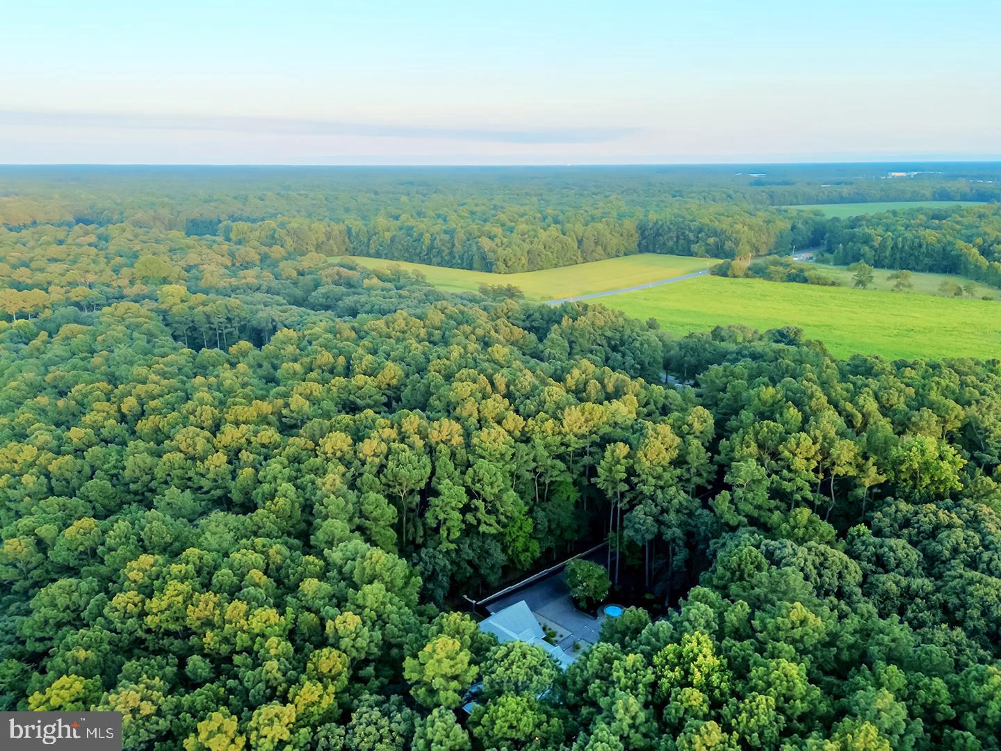 DESU2083910-804086937500-2025-08-22-08-58-34 22095 Wilson Rd | Georgetown, DE Real Estate For Sale | MLS# Desu2083910  - Jack Lingo REALTOR