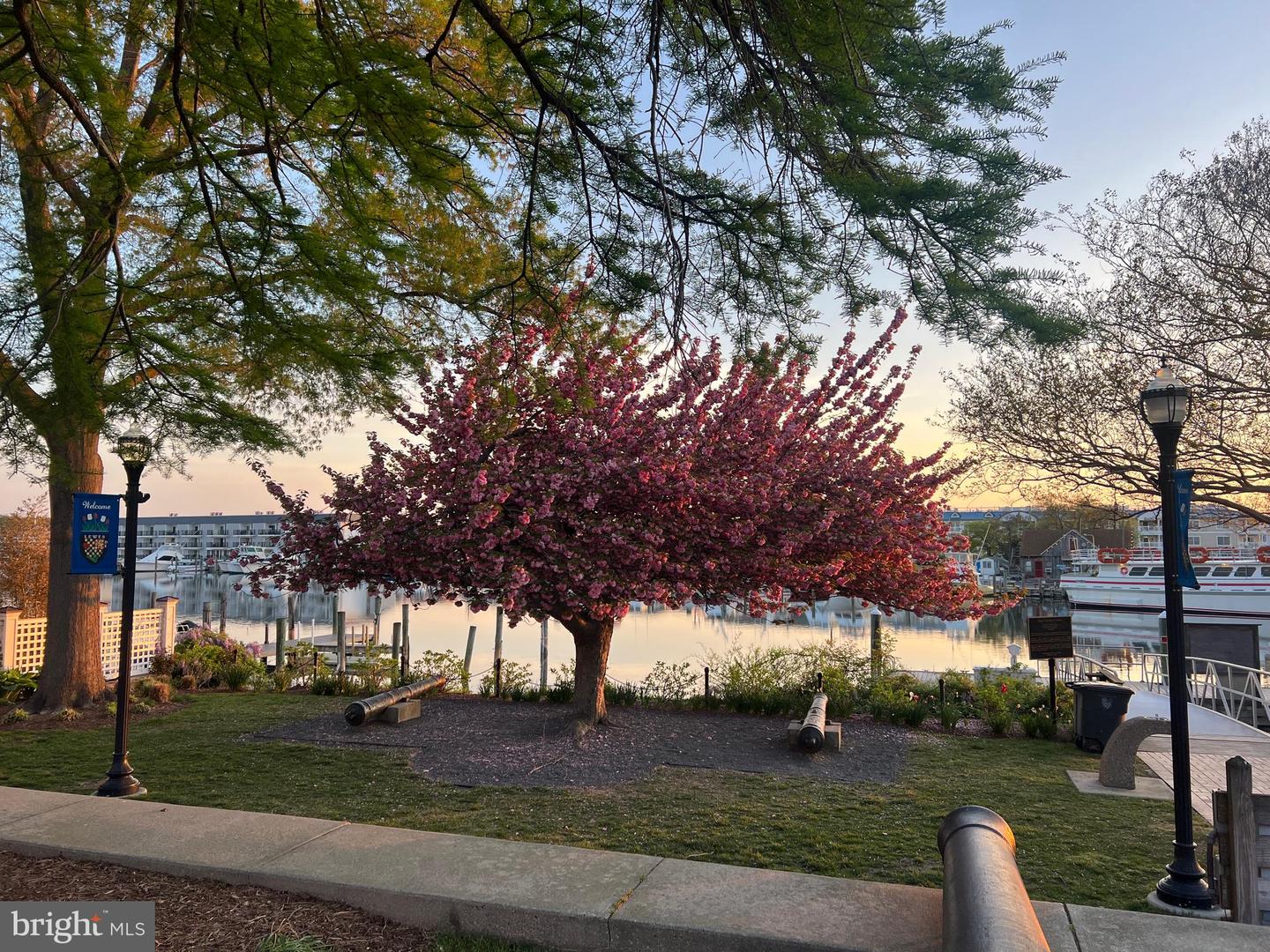 DESU2083918-803917553470-2025-06-08-15-09-09 104 2nd St | Lewes, DE Real Estate For Sale | MLS# Desu2083918  - Jack Lingo REALTOR