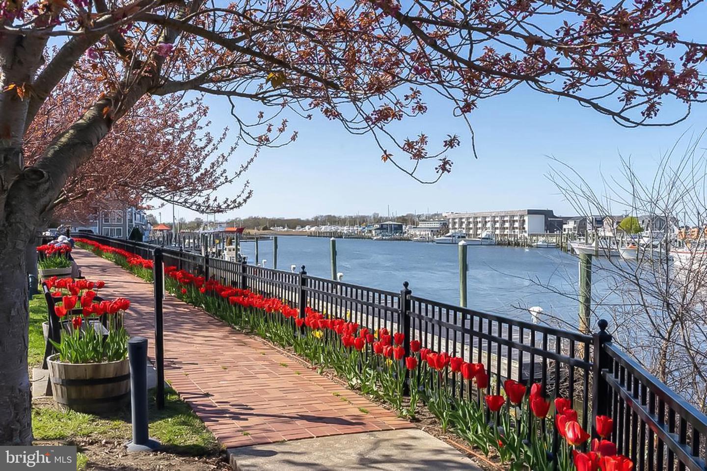 DESU2083918-803956983096-2025-06-22-20-06-51 104 2nd St | Lewes, DE Real Estate For Sale | MLS# Desu2083918  - Jack Lingo REALTOR