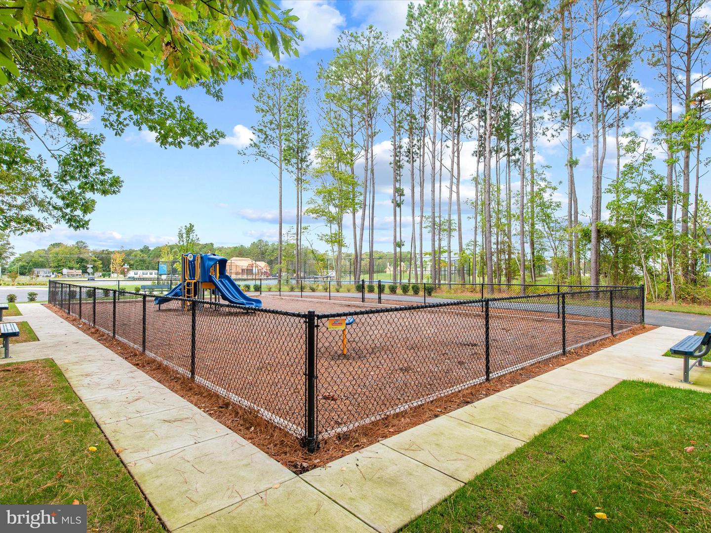 DESU2084002-803785739530-2025-04-24-13-58-01 25098 Tanager Ln | Millsboro, DE Real Estate For Sale | MLS# Desu2084002  - Jack Lingo REALTOR
