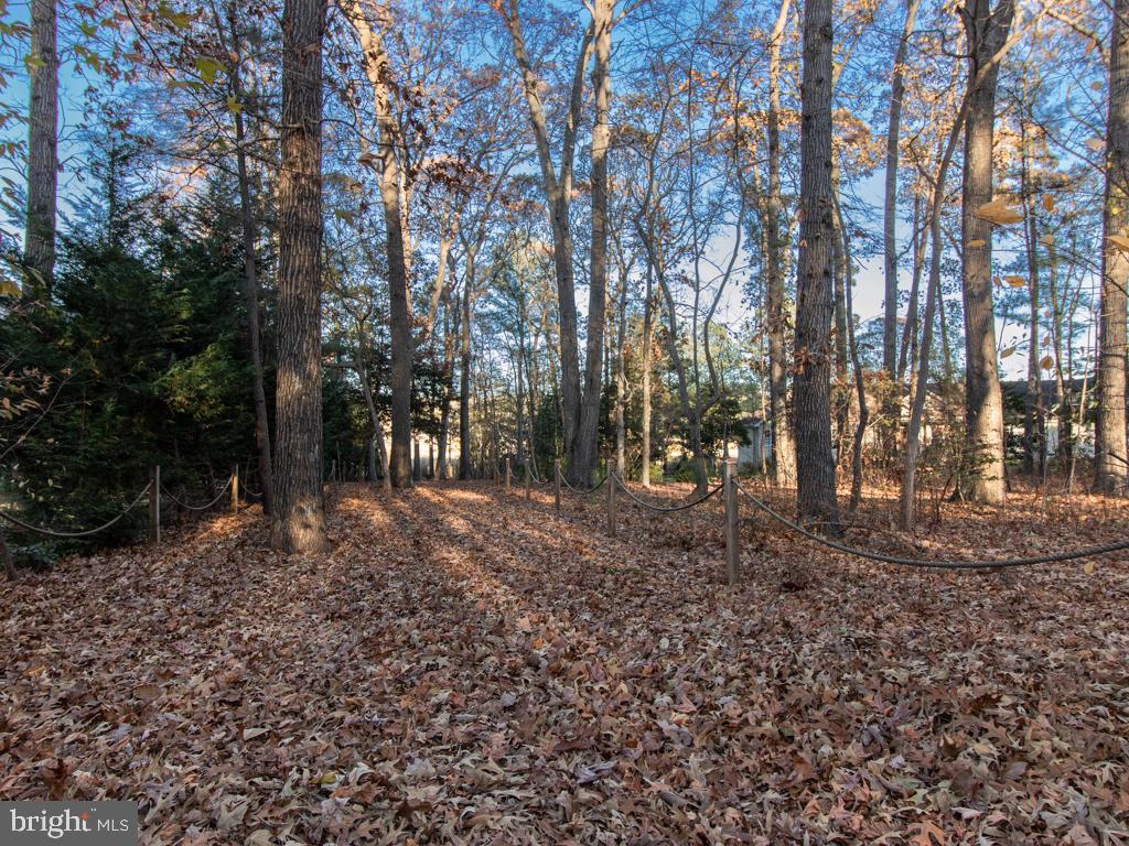 DESU2084012-803797311728-2025-05-08-15-26-16 49 Love Creek Dr | Lewes, DE Real Estate For Sale | MLS# Desu2084012  - Jack Lingo REALTOR