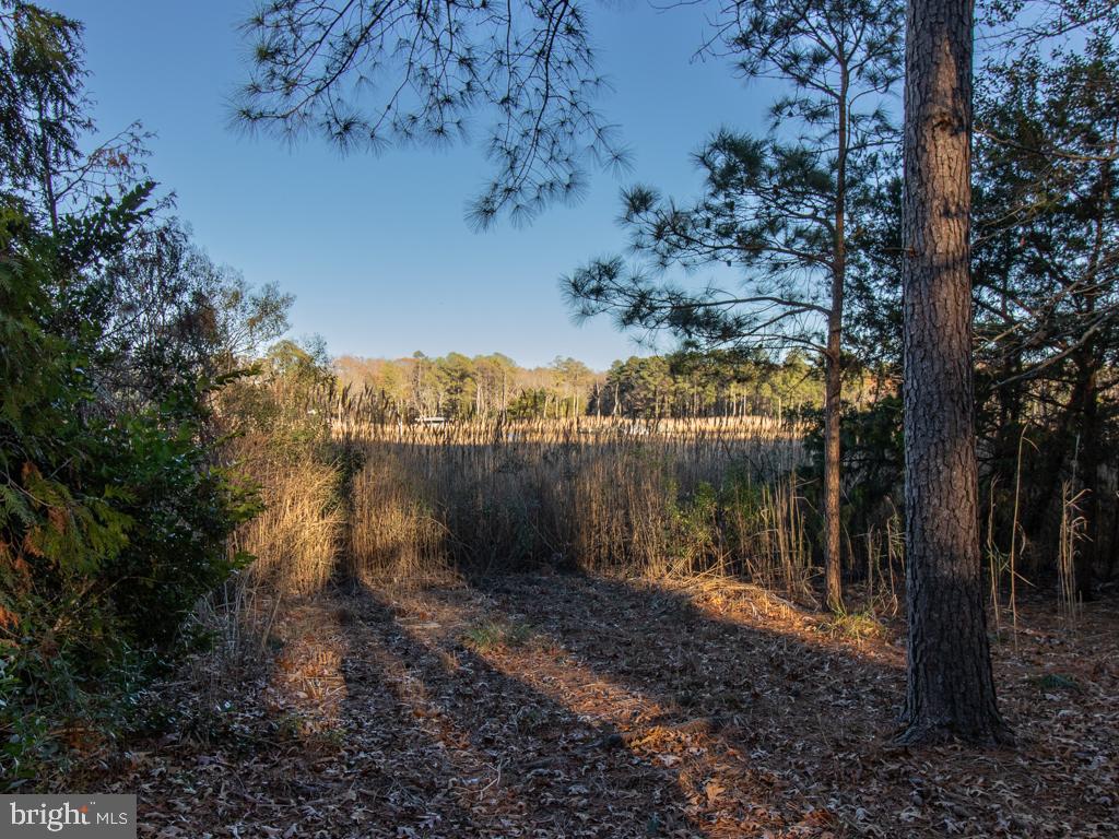 DESU2084012-803797311790-2025-05-08-15-26-17 49 Love Creek Dr | Lewes, DE Real Estate For Sale | MLS# Desu2084012  - Jack Lingo REALTOR