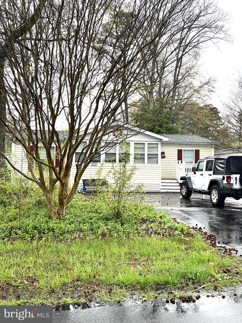 54 WHITE PINE DR, MILLSBORO, DE - Jack Lingo Realtor