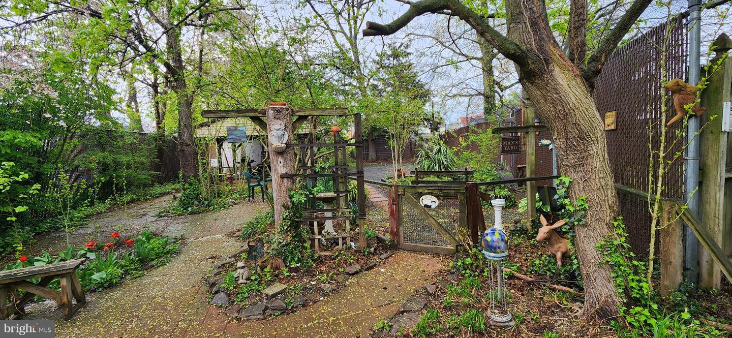 DESU2084070-803888713410-2025-05-28-13-12-07 209 N Pine St | Seaford, DE Real Estate For Sale | MLS# Desu2084070  - Jack Lingo REALTOR