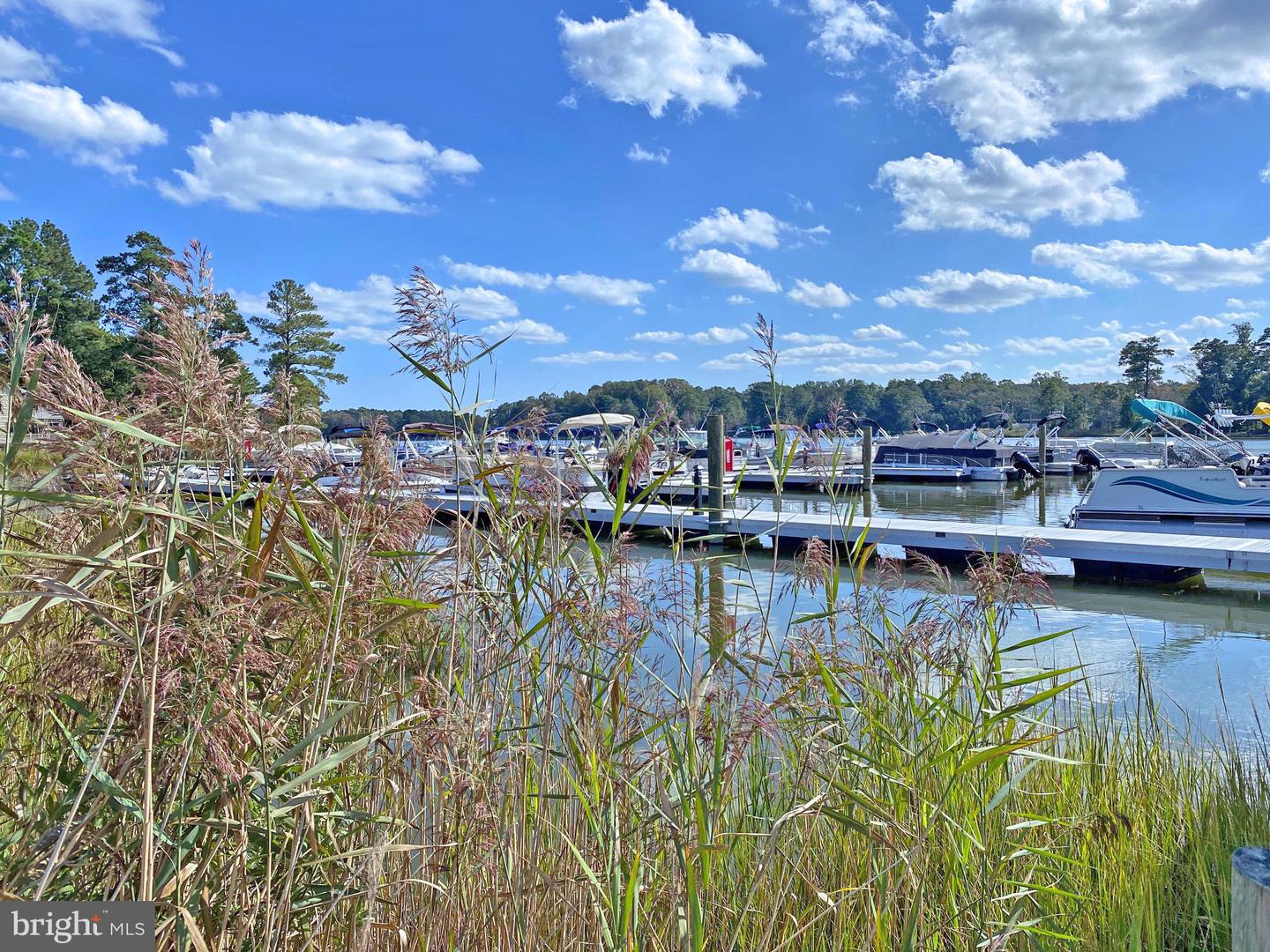DESU2084080-803774224228-2025-06-21-14-55-40 33261 Marlin Ct #c-63 | Lewes, DE Real Estate For Sale | MLS# Desu2084080  - Jack Lingo REALTOR