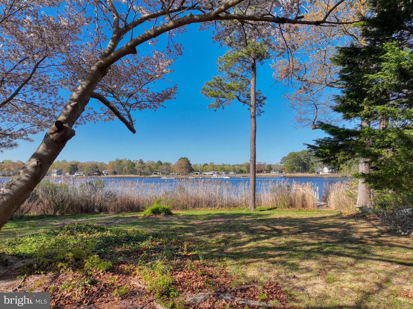 DESU2084130-803777655534-2025-04-18-20-01-38 5 Blackberry Ln | Harbeson, DE Real Estate For Sale | MLS# Desu2084130  - Jack Lingo REALTOR