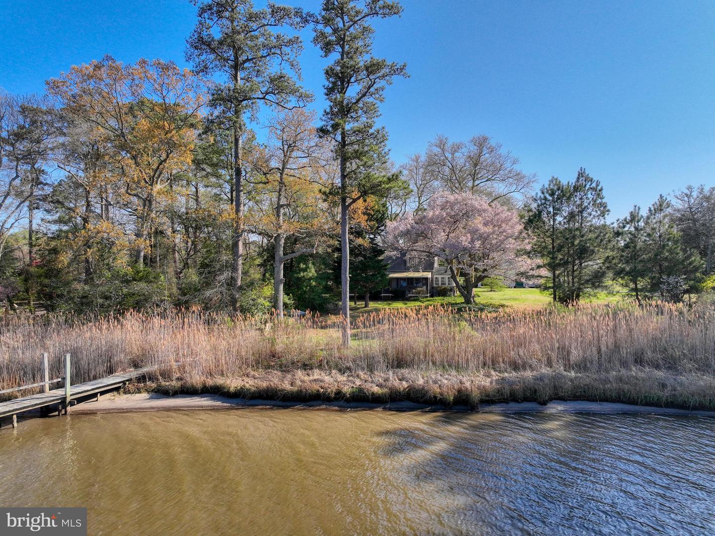 DESU2084130-803777655748-2025-04-18-20-01-37 5 Blackberry Ln | Harbeson, DE Real Estate For Sale | MLS# Desu2084130  - Jack Lingo REALTOR