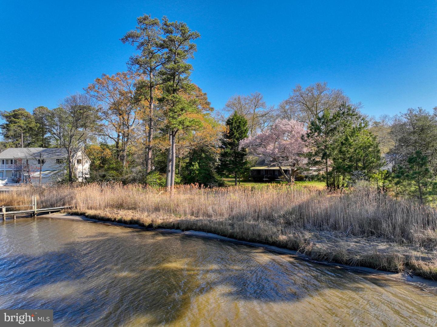DESU2084130-803777656032-2025-07-10-14-52-00 5 Blackberry Ln | Harbeson, DE Real Estate For Sale | MLS# Desu2084130  - Jack Lingo REALTOR