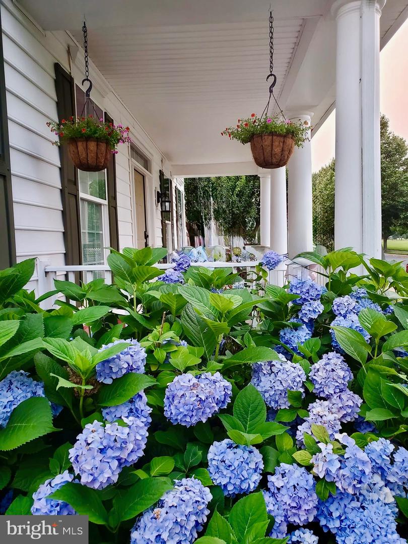 DESU2084272-803779200972-2025-04-24-00-40-29 16426 Samuel Paynter Blvd | Milton, DE Real Estate For Sale | MLS# Desu2084272  - Jack Lingo REALTOR