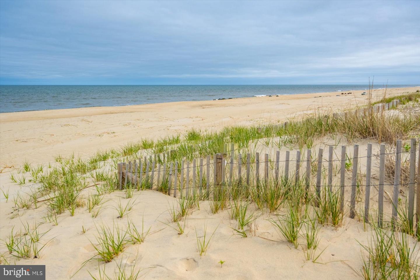 DESU2084278-803821255756-2025-05-10-21-10-20 2 Snug Harbor Ct #2 | Rehoboth Beach, DE Real Estate For Sale | MLS# Desu2084278  - Jack Lingo REALTOR