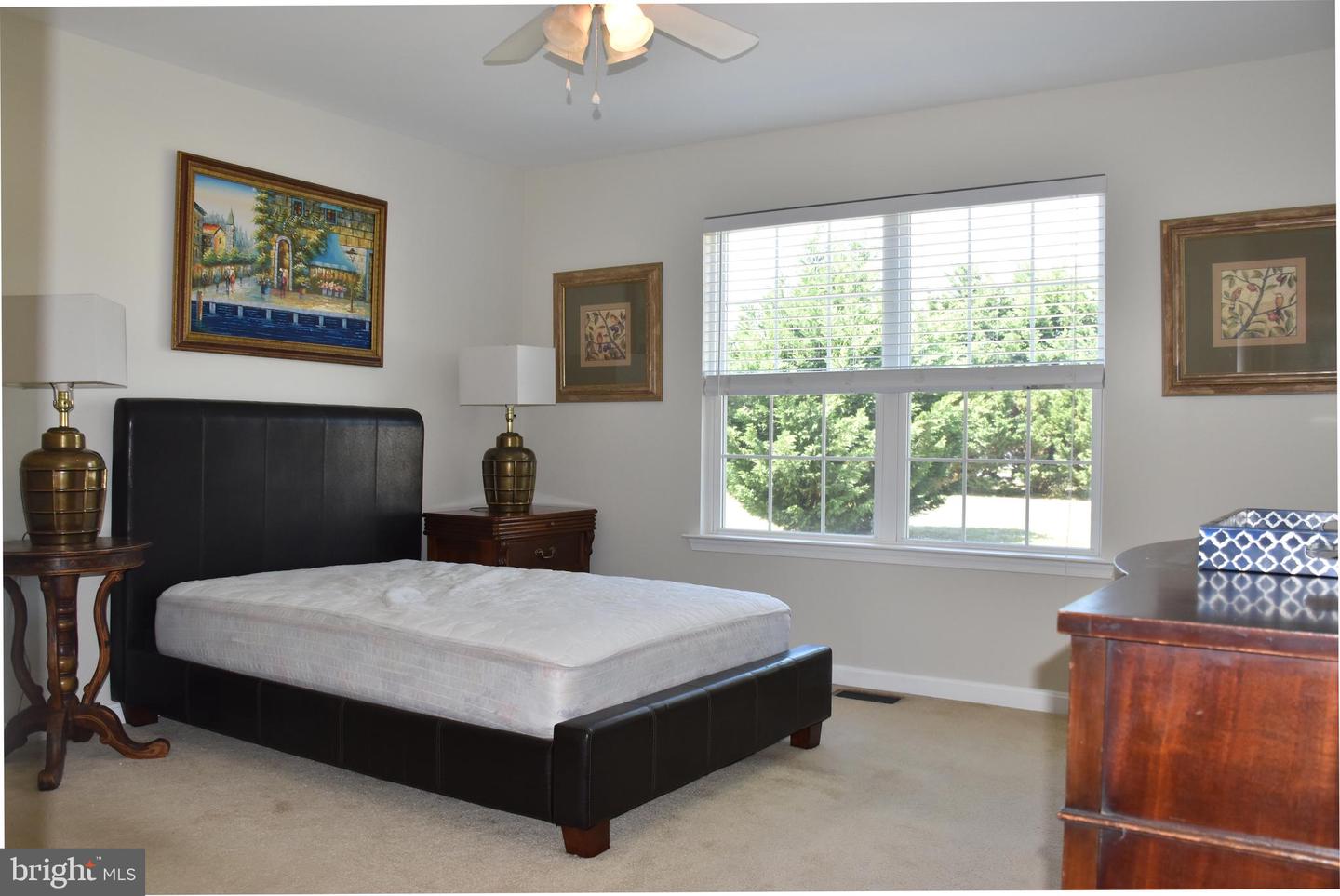 DESU2084356-803808418262-2025-04-29-14-09-13 21161 Sand Dollar Trl | Lewes, DE Real Estate For Sale | MLS# Desu2084356  - Jack Lingo REALTOR