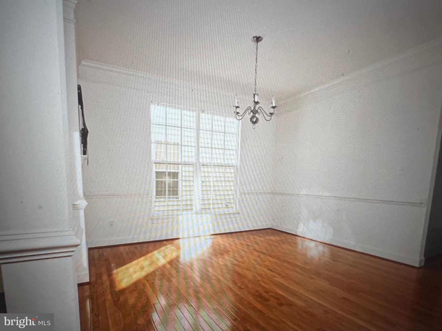 DESU2084432-803786281176-2025-05-10-00-14-06 16258 John Rowland Trl | Milton, DE Real Estate For Sale | MLS# Desu2084432  - Jack Lingo REALTOR