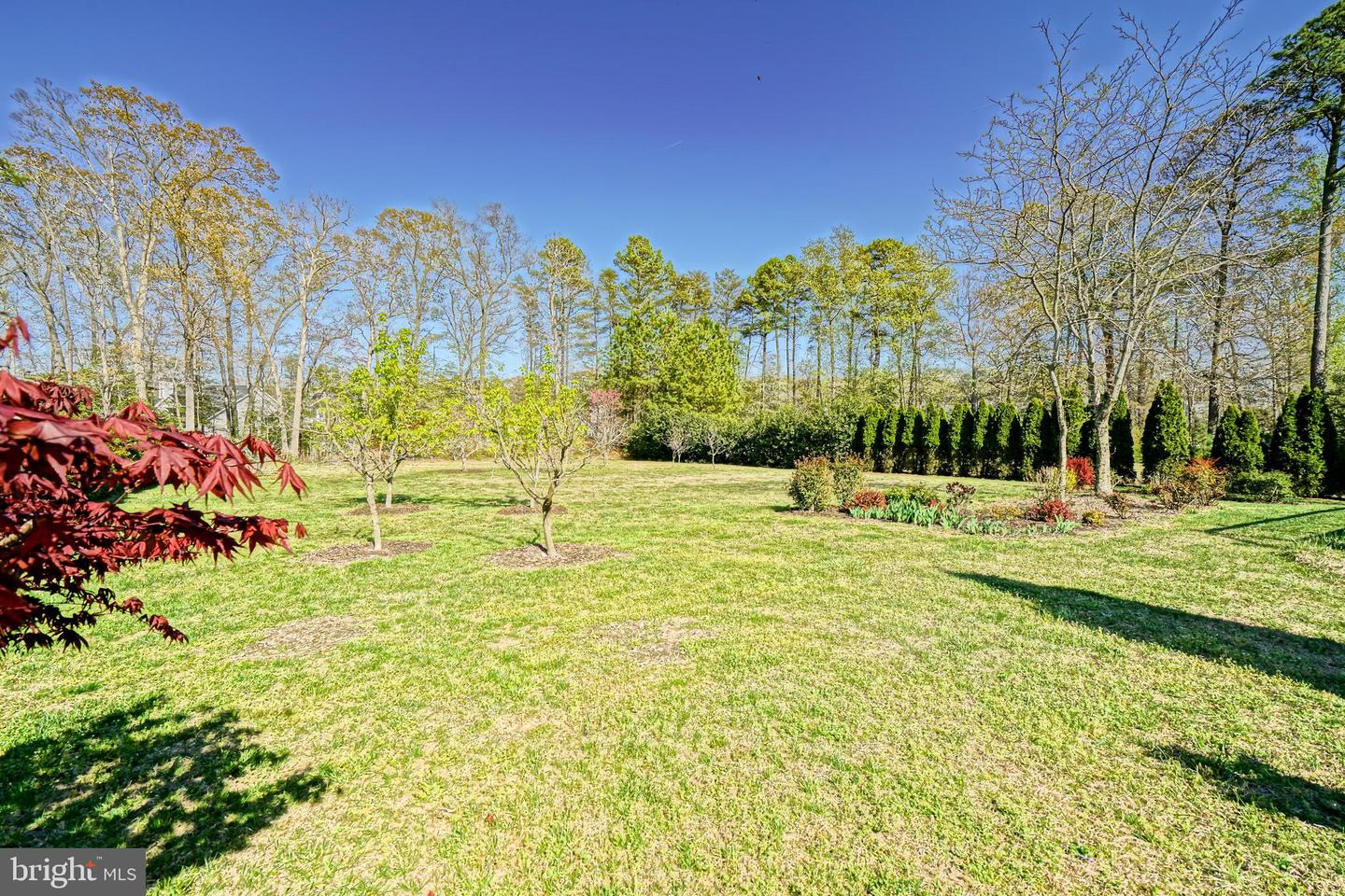 DESU2084616-803789641762-2025-05-13-11-45-02 22378 Bay Ct | Lewes, DE Real Estate For Sale | MLS# Desu2084616  - Jack Lingo REALTOR