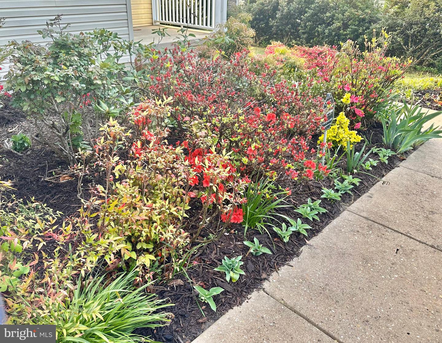 DESU2084616-803789649128-2025-05-13-11-45-06 22378 Bay Ct | Lewes, DE Real Estate For Sale | MLS# Desu2084616  - Jack Lingo REALTOR