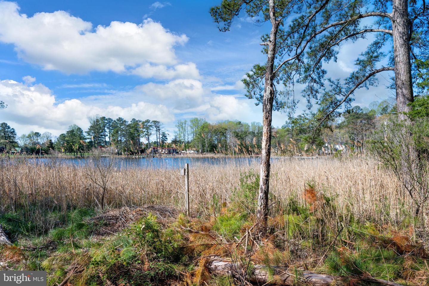 DESU2084626-803795712218-2025-06-22-22-01-27 23376 Boat Dock Dr W | Lewes, DE Real Estate For Sale | MLS# Desu2084626  - Jack Lingo REALTOR