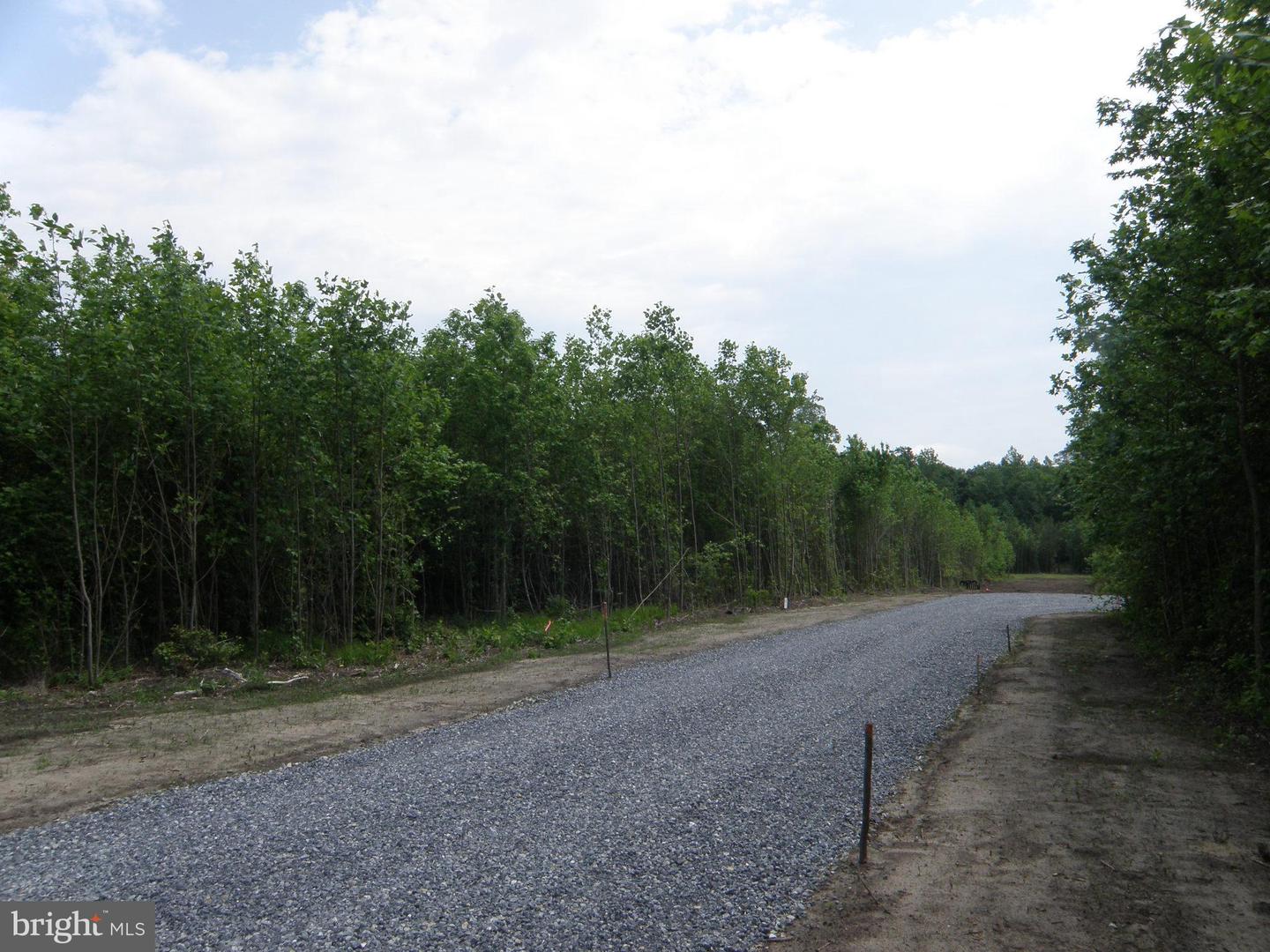 DESU2084648-803861256628-2025-05-16-14-56-29 Lot C - 133-9.00-9.18 Easement Off Of Shortly Rd | Georgetown, DE Real Estate For Sale | MLS# Desu2084648  - Jack Lingo REALTOR
