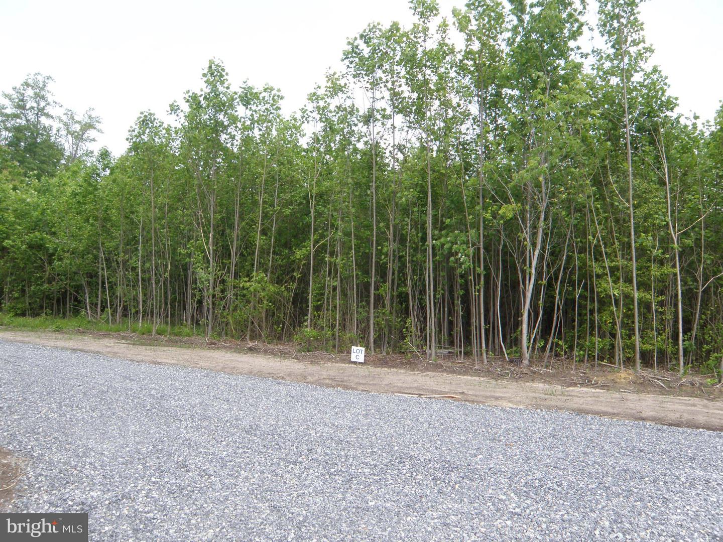 DESU2084648-803861256788-2025-05-16-14-56-29 Lot C - 133-9.00-9.18 Easement Off Of Shortly Rd | Georgetown, DE Real Estate For Sale | MLS# Desu2084648  - Jack Lingo REALTOR
