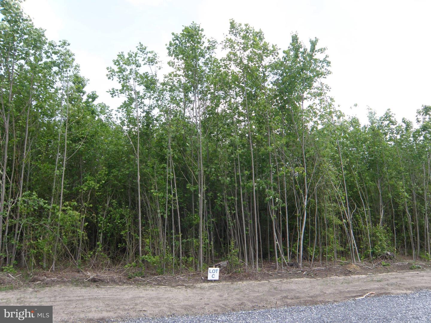 LOT C - 133-9.00-9.18 EASEMENT OFF OF SHORTLY RD, GEORGETOWN, DE - Jack Lingo Realtor
