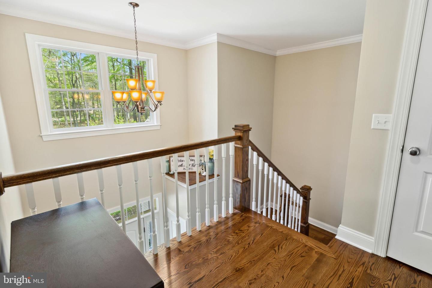 DESU2084656-803792608140-2025-04-25-13-12-49 11024 Coon Den Rd | Greenwood, DE Real Estate For Sale | MLS# Desu2084656  - Jack Lingo REALTOR