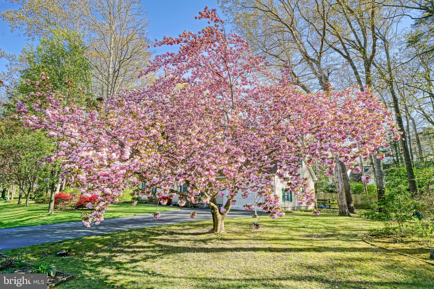 DESU2084758-803796069906-2025-04-25-10-55-02 11 Roberts Rd | Lewes, DE Real Estate For Sale | MLS# Desu2084758  - Jack Lingo REALTOR