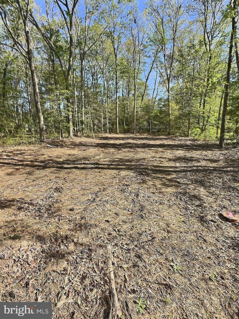 DESU2084840-803808307232-2025-04-29-13-44-07 0 Shady Dell Park / Birch | Frankford, DE Real Estate For Sale | MLS# Desu2084840  - Jack Lingo REALTOR