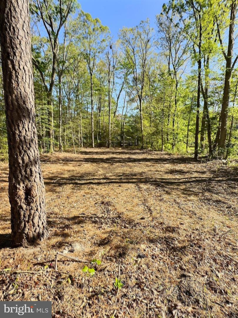 DESU2084840-803808307258-2025-04-29-13-44-07 0 Shady Dell Park / Birch | Frankford, DE Real Estate For Sale | MLS# Desu2084840  - Jack Lingo REALTOR