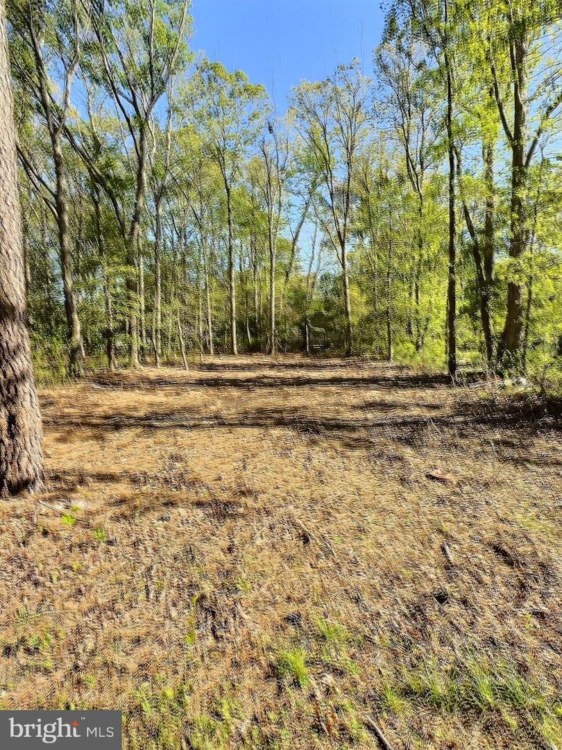 DESU2084840-803808307490-2025-04-29-13-44-07 0 Shady Dell Park / Birch | Frankford, DE Real Estate For Sale | MLS# Desu2084840  - Jack Lingo REALTOR