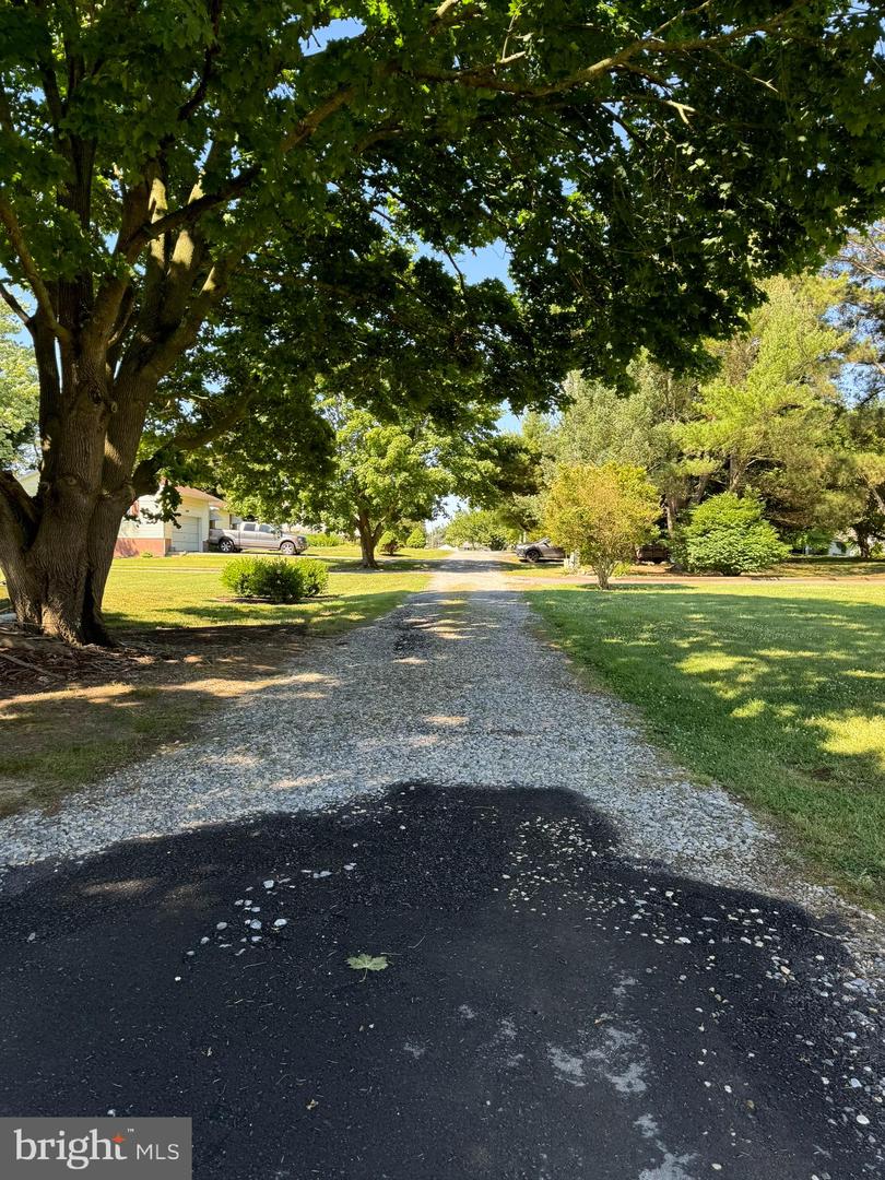 DESU2084942-803804686574-2025-05-01-08-24-04 34877 Collins Ave | Rehoboth Beach, DE Real Estate For Sale | MLS# Desu2084942  - Jack Lingo REALTOR