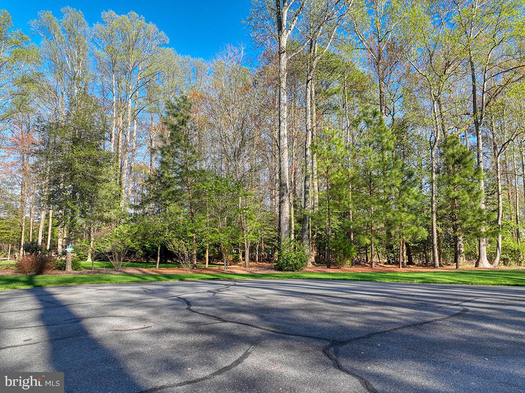DESU2084990-803806079572-2025-04-29-07-30-52 23512 Creek View Ct | Harbeson, DE Real Estate For Sale | MLS# Desu2084990  - Jack Lingo REALTOR