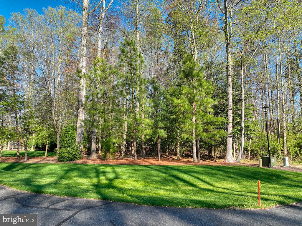 DESU2084990-803806079688-2025-04-29-07-30-51 23512 Creek View Ct | Harbeson, DE Real Estate For Sale | MLS# Desu2084990  - Jack Lingo REALTOR