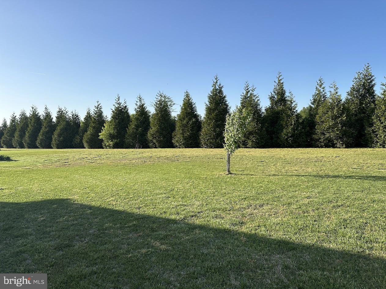 DESU2085024-803806696738-2025-06-17-10-31-21 24266 Fox Run | Seaford, DE Real Estate For Sale | MLS# Desu2085024  - Jack Lingo REALTOR