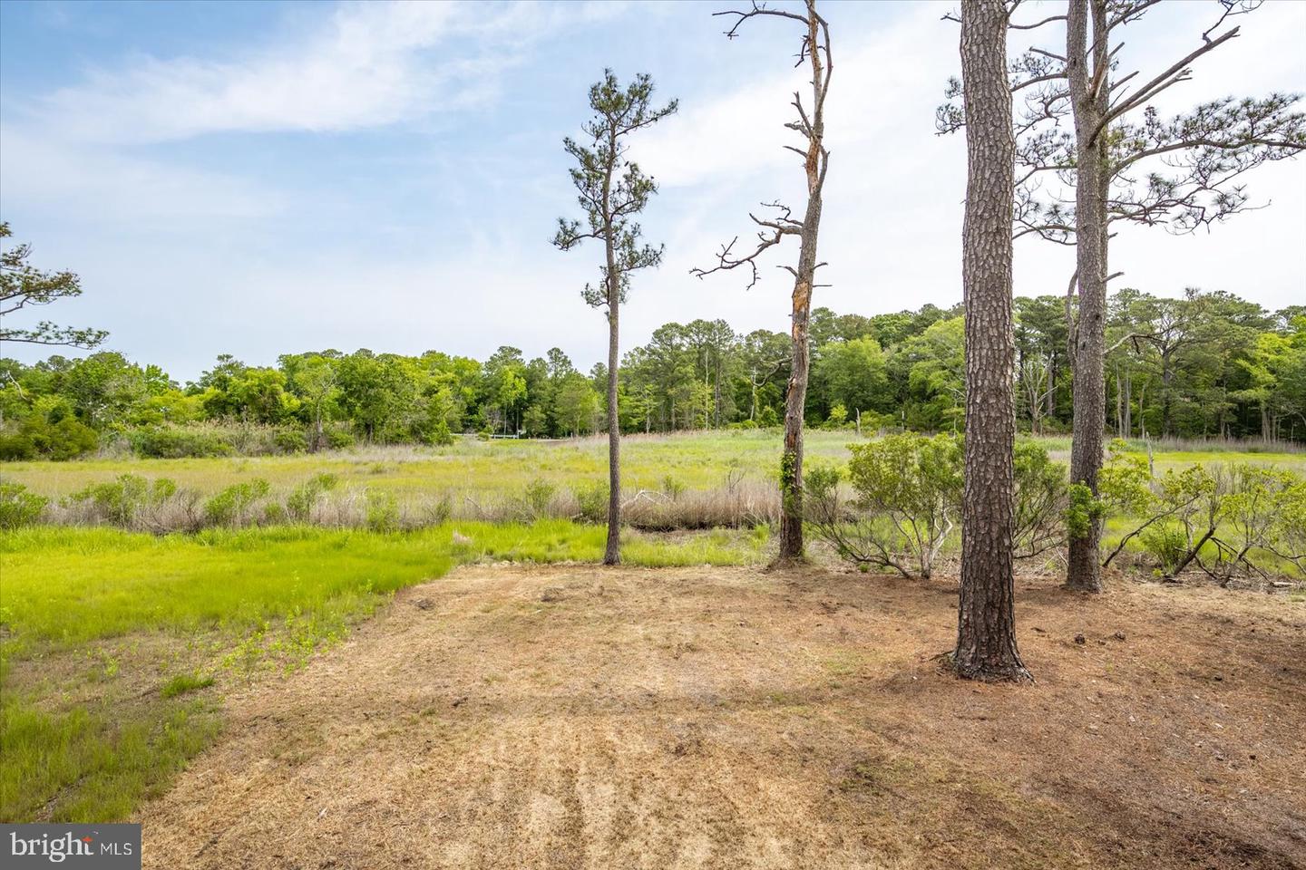 DESU2085056-803920674694-2025-06-13-09-10-58 443 Black Gum Dr | Bethany Beach, DE Real Estate For Sale | MLS# Desu2085056  - Jack Lingo REALTOR