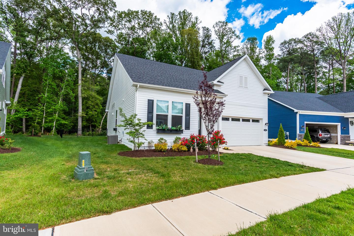 DESU2085232-803835272924-2025-08-15-14-25-11 31071 Silver Maple Dr | Lewes, DE Real Estate For Sale | MLS# Desu2085232  - Jack Lingo REALTOR