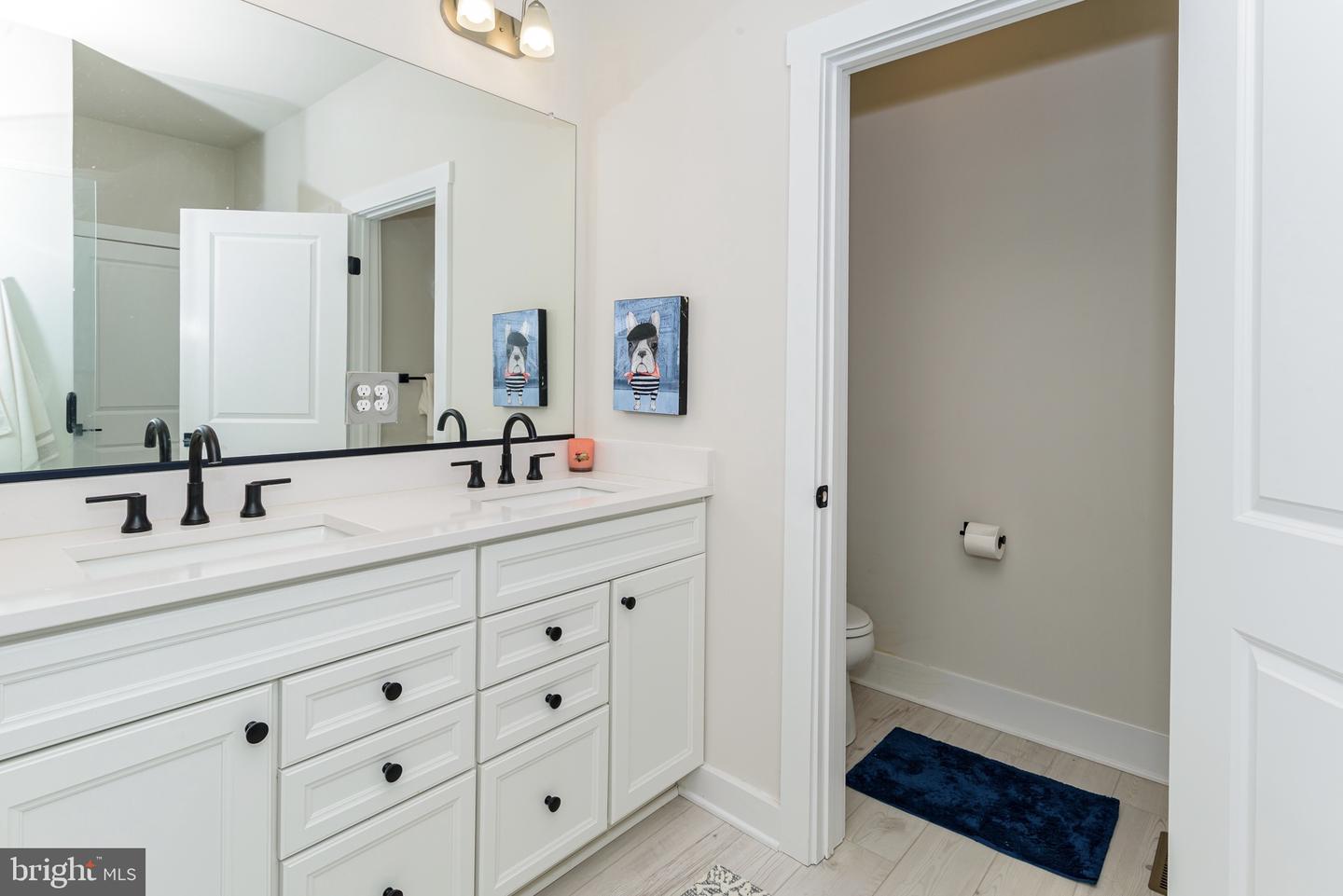 DESU2085232-803835280636-2025-06-18-08-12-24 31071 Silver Maple Dr | Lewes, DE Real Estate For Sale | MLS# Desu2085232  - Jack Lingo REALTOR