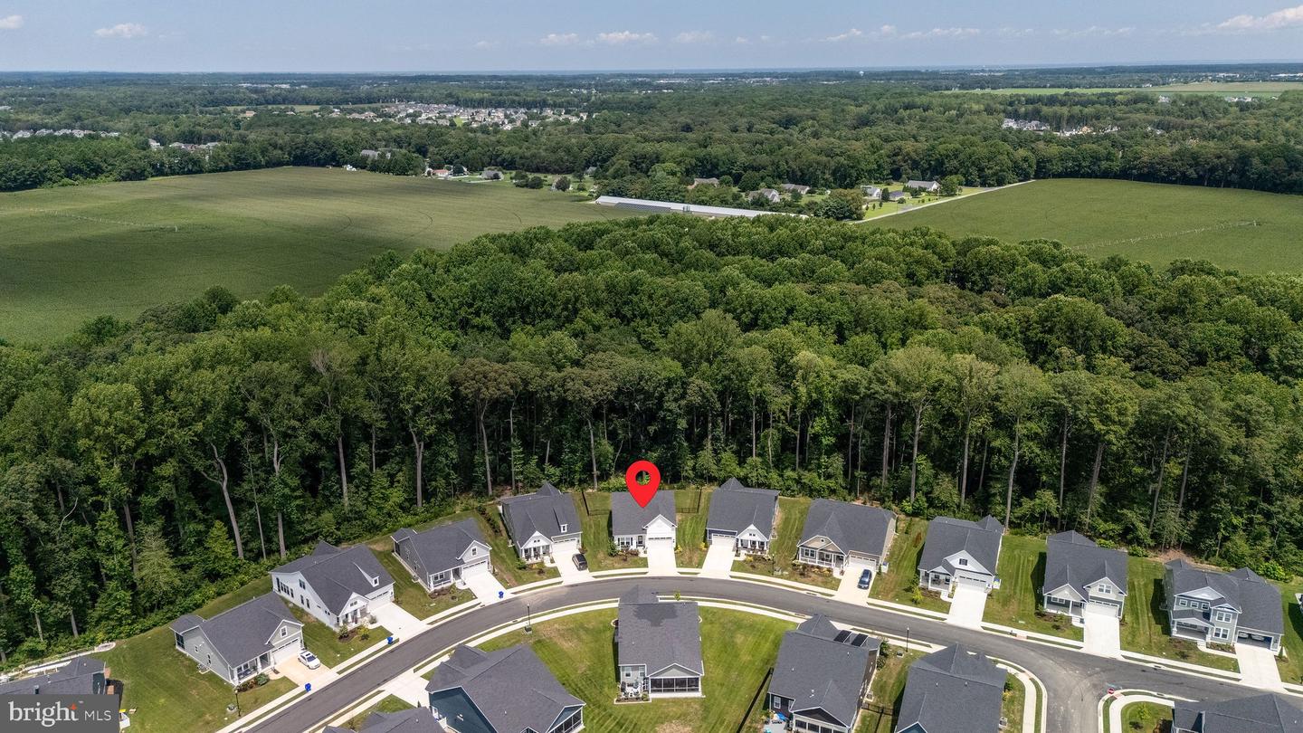 31071 SILVER MAPLE DR, LEWES, DE - Jack Lingo Realtor