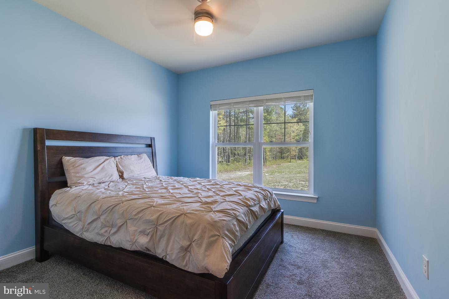 DESU2085234-803812230198-2025-05-03-00-16-41 29211 Baylis Ave | Millsboro, DE Real Estate For Sale | MLS# Desu2085234  - Jack Lingo REALTOR
